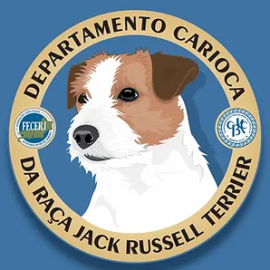 Departamento Carioca da Ra�a Jack Russell Terrier